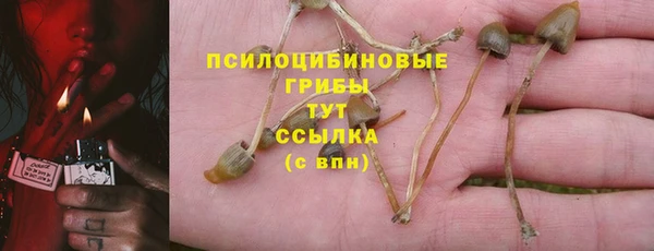а пвп мука Кинешма