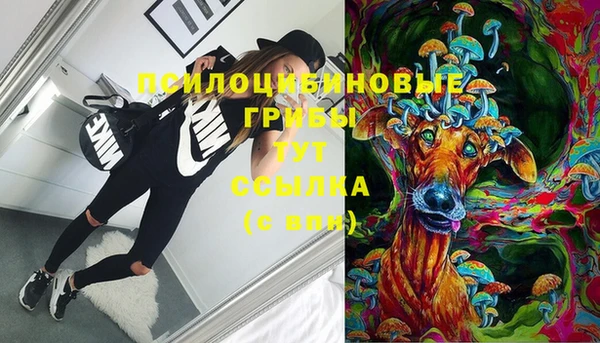 гашик Киреевск