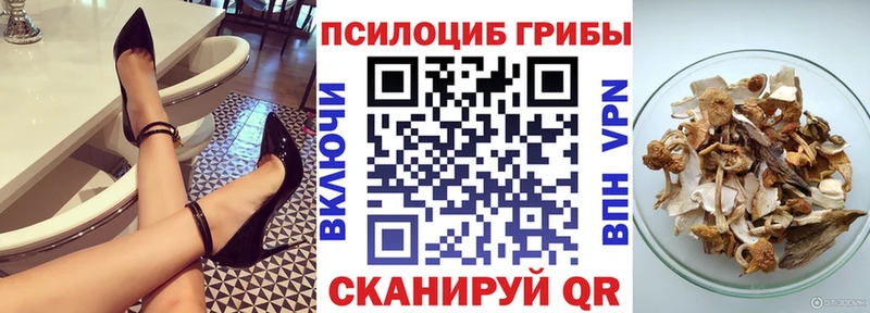 Галлюциногенные грибы мицелий  Купить закладки  Енисейск 