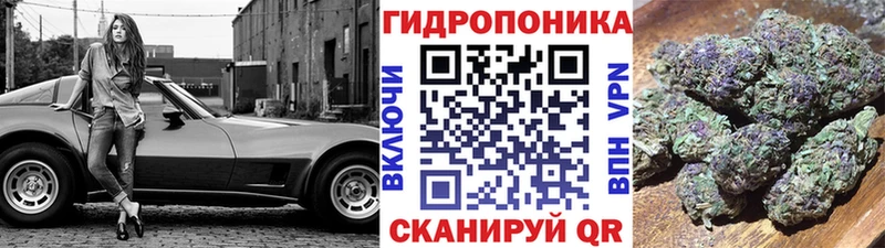 МАРИХУАНА SATIVA & INDICA  Купить закладки  Енисейск 